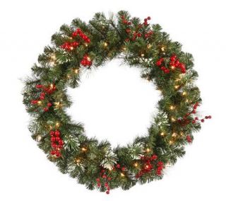 24 Siegal Berry Pine Wreath w/ Clear Lights byVickerman —