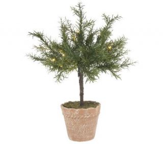 BethlehemLights BatteryOperated 18 Potted Rosemary Plant with Timer 
