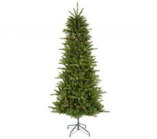 Knox Slim Pine Instant Shape LED Tree by Vickerman —
