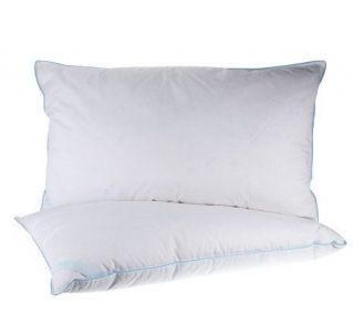 Northern Nights KG S/2 Down & Uncrushable Feather Pillows —