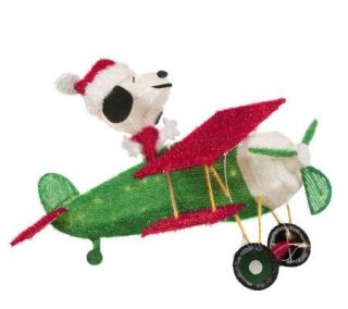 38 Snoopy in Plane Fuzzy Yard Art by Roman