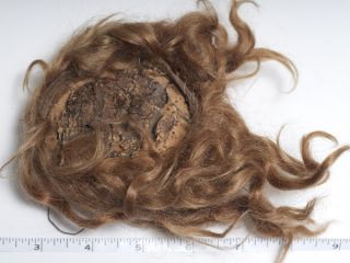 lot of 4 antique doll wigs human hair good consition toi age different