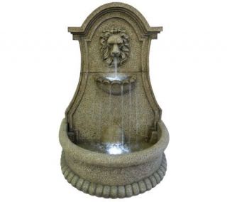 Lucerne Lions Head Electric Fountain with LEDby Smart Garden