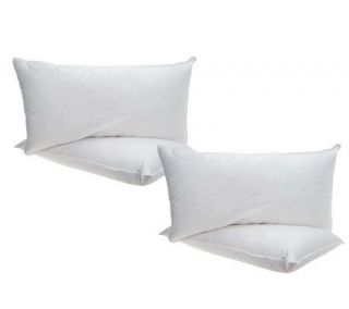 Northern Nights Set of 4 KG White Goose Microfeather Pillows