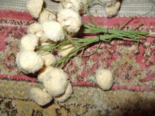 Vtg Spun Cotton Mushroom Millinery Flower Center Stamen 1940s German