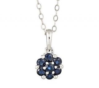 Sterling 0.55 cttw Sapphire Flower Pendant with18 Chain —