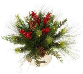 BethlehemLights BatteryOperated Mixed Greens in BirchPlanter with 