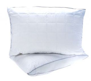 HoMedics Silver Clear Breathemesh Set of 2 Jumbo Pillows —