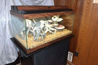  50 Gallon Fish Tank Complete with Stand