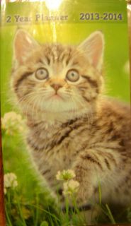  Pocket Calendar 2 Year Planner Cute Adorable Kitten on Cover