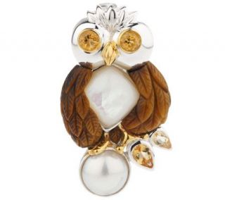 Smithsonian Sterling Multi gemstone Owl Pin/Enhancer —