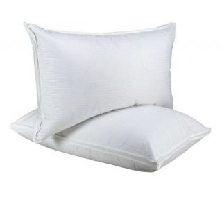 Northern Nights S/2 Standard X Firm Down AroundGusset Pillows