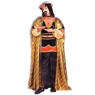  Arabian Aladdin Wise Adult Mens Fancy Dress Halloween Costume