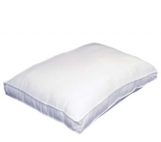 Gusset Spring Coil Pillow   Standard —