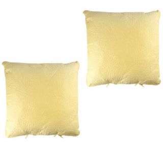 Joan Lunden Home Set of 2 Stockholm Euro Pillows —