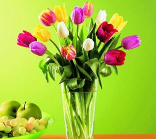 Assorted Tulips with Contempo Vase —