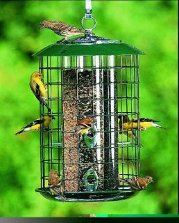 Duncraft Triple Tube Safe Haven Hanging Bird Feeder —
