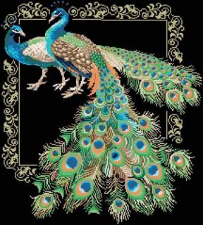 Cross Stitch Kits Beautiful Peacock