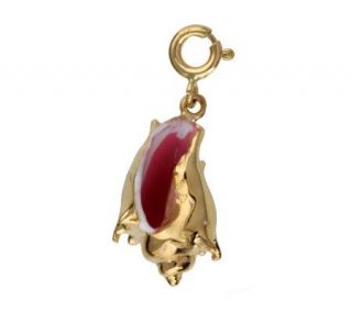 14K Yellow Gold Conch Shell Charm —