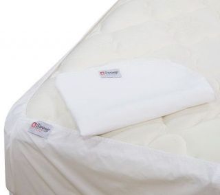 Sweep Under the Mattress QN Bed Bug Protector —