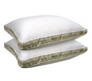 Beautyrest 2 Gusset Set of 2 Queen Pillows  X Firm Support —