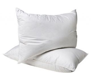 Northern Nights Set of 2 King Slumber Core Support Pillows —