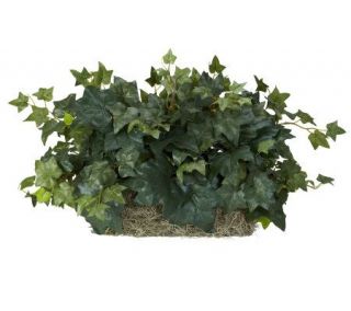 Ivy Ledge Plant by Nearly Natural —