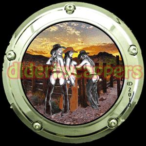 Cowgirls Harley Davidson Derby Cover Capper Custom Softtail Sportster