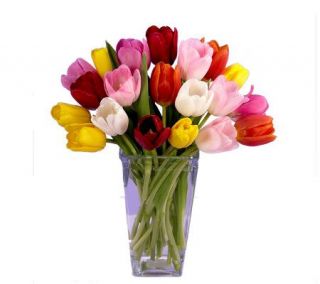 20 Assorted Tulips with Contempo Vase   H114469