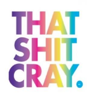 Multicolor That SH T Cray T Shirt SH T Watch The Throne Rap Concert