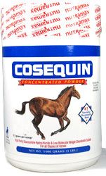 Cosequin Equine Concentrate 280 Grams 15047