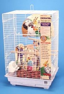 Penn Plax Square Cockatiel Medium Bird Cage Kit White BCK4