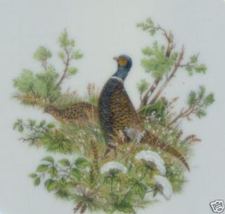 Wildlife Pheasant Bernadotte Czech Fine China Mug