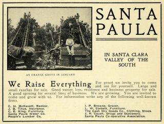 1906 Ad Santa Paula City California Venture County Original