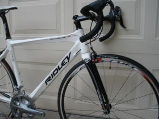 Ridley Damocles RS   Small   Demo   Carbon   Ultegra   Wholesale Price