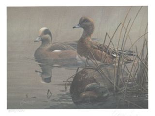   1992 Arkansas Duck Stamp, Sulpher River Widgeons, sba Daniel Smith