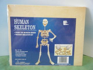  Human Skeleton 3D Wooden Puzzle Kit New