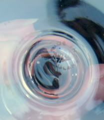 Thomas Webb Crystal WET6 Wine Glass Signed