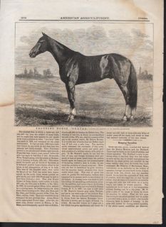 1868 TROTTING HORSE DEXTER RACE RECORD BONNER BOSTON PRINT EQUESTRIAN