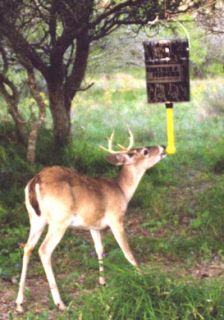  Gallon Demand Hanging Game Feeder Realtree APG Deer Elk Turkey