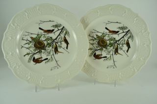  Pair of Plates Audobon Birds of America Porcelain Deland Studio