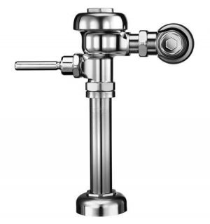 Exposed, diaphragm type, chrome plated water closet flushometer