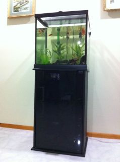 Aqueon Oceanic 30 Gallons Cube Aquarium with Stand Mint Condition