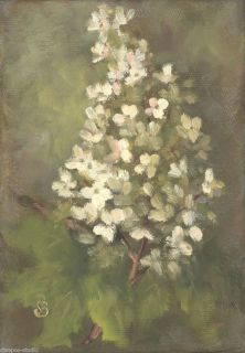 Sepos Daily Painting A Day Still Life Oakleaf Hydrangea Ornamental