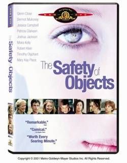 The Safety of Objects Intricate Dramatic Tale DVD New
