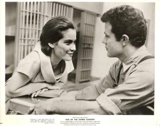 Diane Baker Jack Ging Tess of The Storm Country1960
