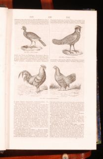 1864 7 2vol Dictionnaire General Des Sciences Privat Deschanel