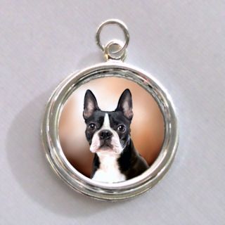 Boston Terrier Ears Up Dog Silver Charm Pendant