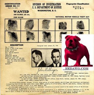 John Dillenger Gangster Wanted Poster Fingerprint Copy