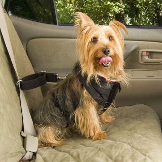 25 lb Small Dog Pet Car Seat Belt Padded Safety Harness